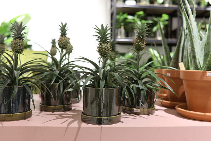 Green lifestyle store popup Amsterdam studio1967